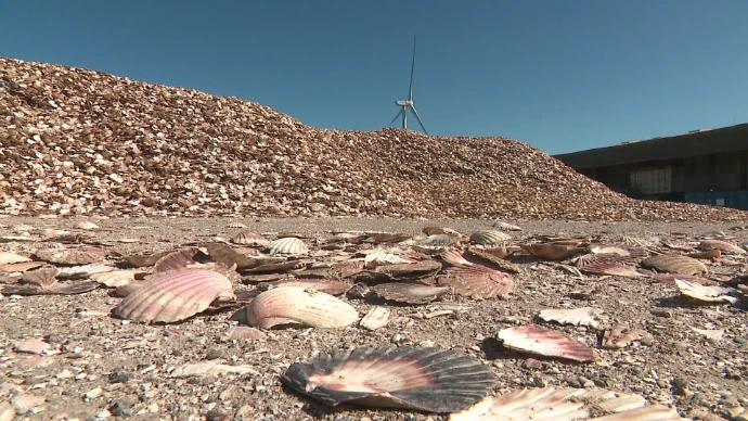 Reportage France 3 guscio