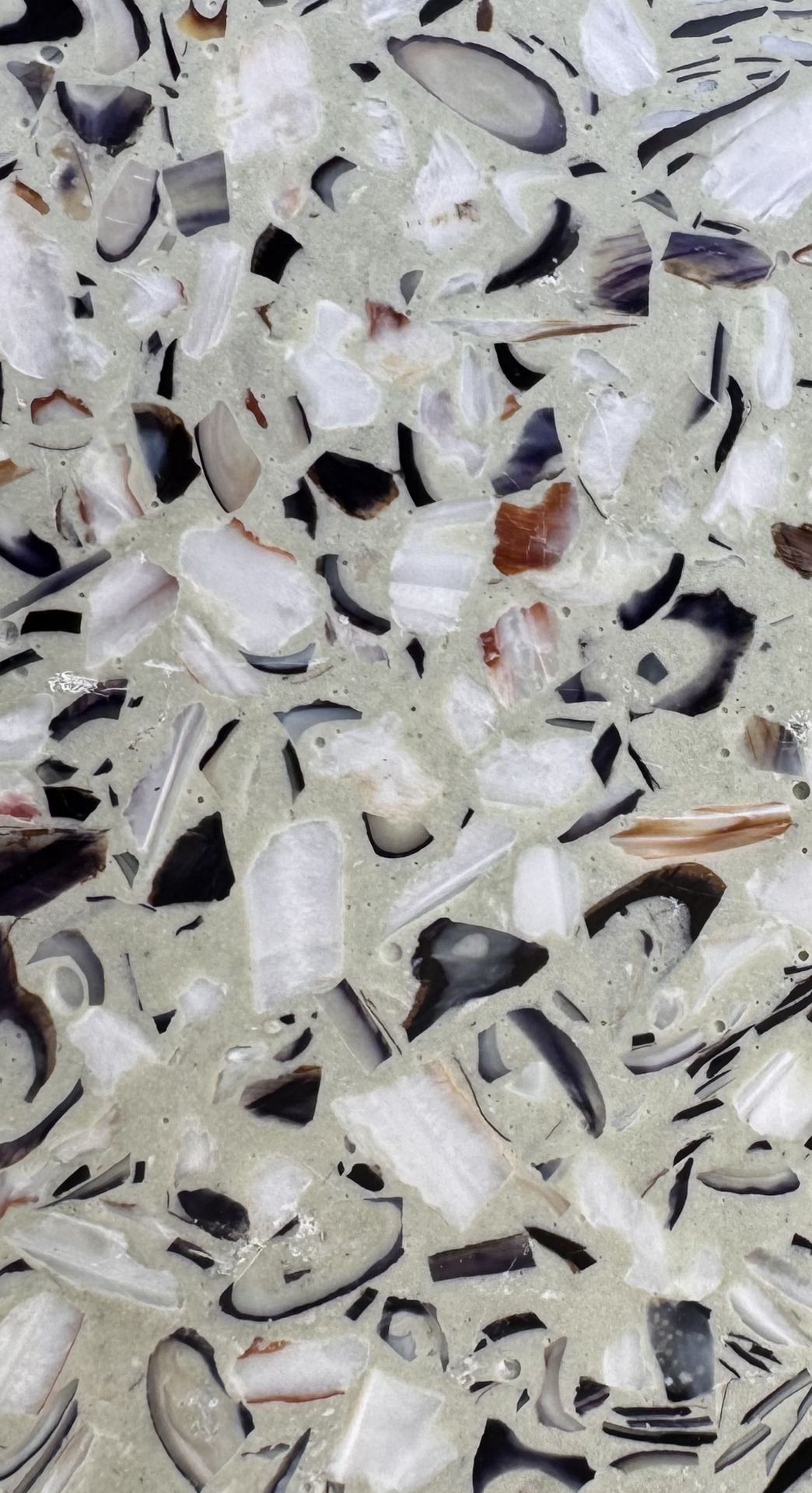 Mix Moules/Saint-Jacques Vert d'eau
