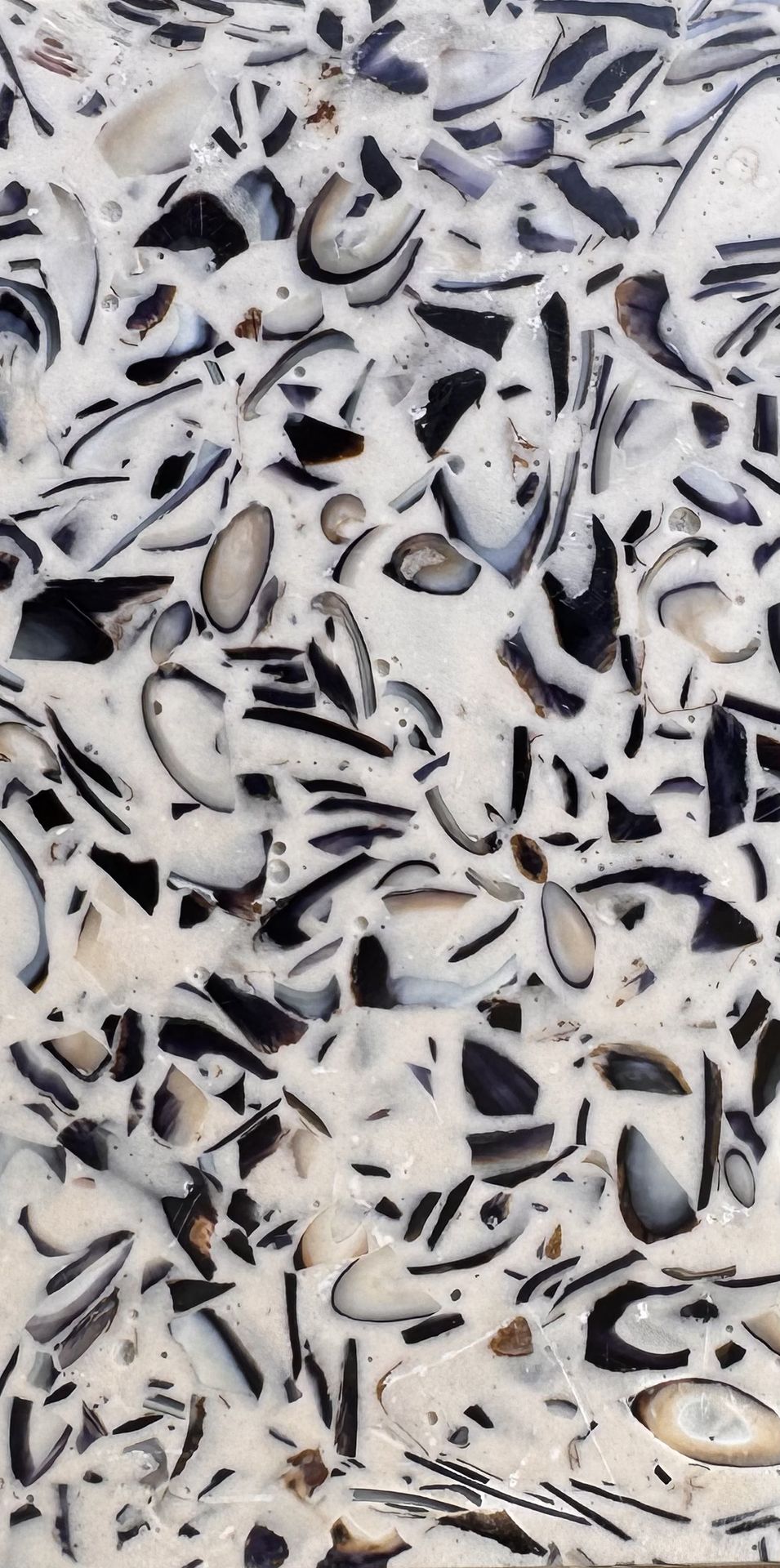 Moules