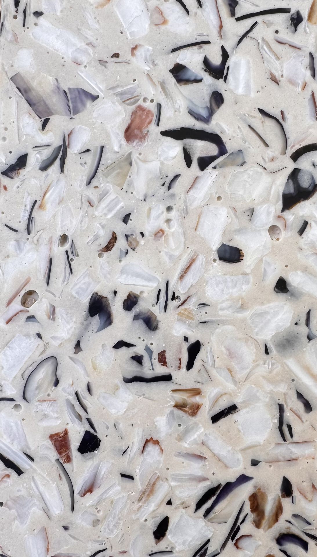 Mix Moules/Saint-Jacques
